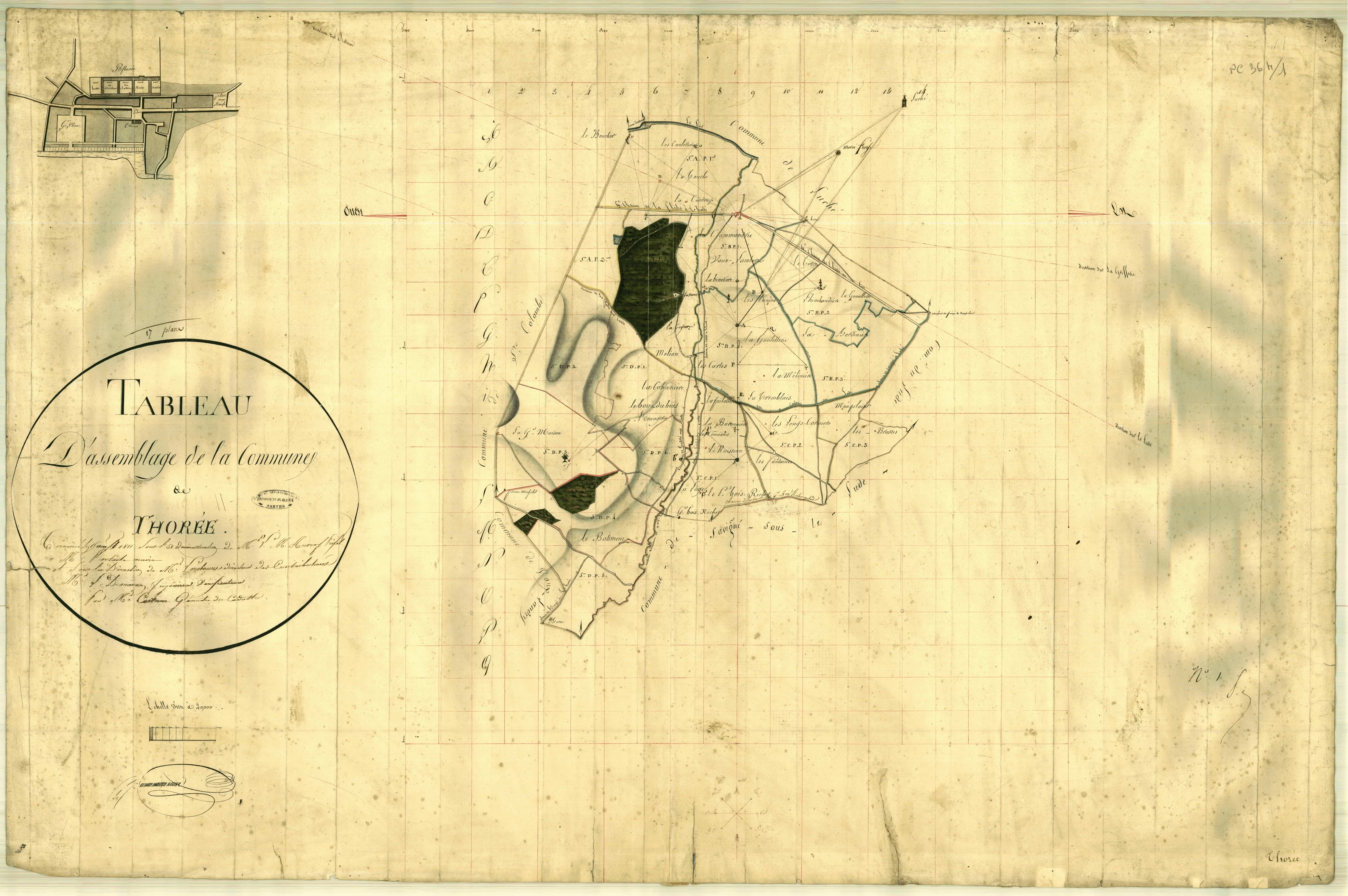 Thorée-les-Pins - Cadastre 1811 - TA